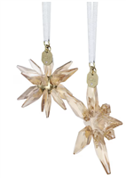 Cristalleria Swarovski in Cristallo 5701824 - 5701824